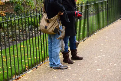 DSC_0603 (Large).JPG